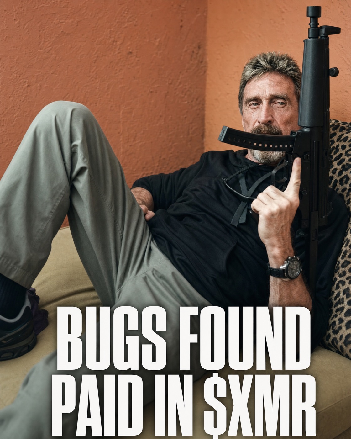 Couch portrait with the caption BUGS FOUND, PAID IN $XMR